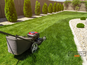 Lawn mower Hire