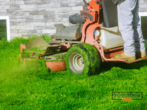 Lawn mower Hire