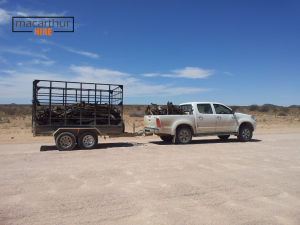 Trailer Hire