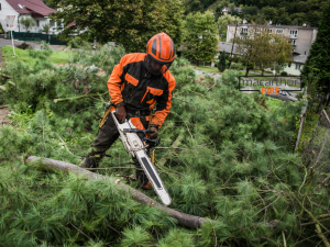 chainsaw hire